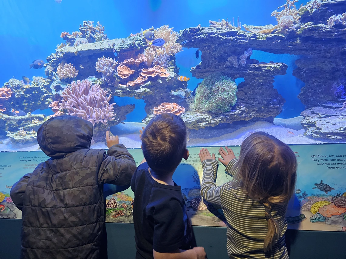 children looking at an aquarium